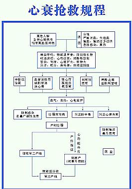 心衰搶救規(guī)程圖片