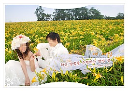 大氣婚紗模板