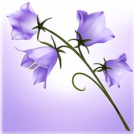 印花矢量圖 植物 花卉 優(yōu)雅植物 色彩 免費(fèi)素材