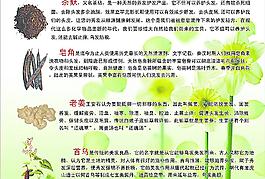 生發(fā) 養(yǎng)發(fā)圖片
