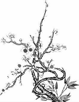 位圖 植物 花卉 優(yōu)雅植物 藝術(shù)效果 免費(fèi)素材