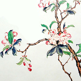 位圖 植物 花卉 優(yōu)雅植物 藝術(shù)效果 免費(fèi)素材