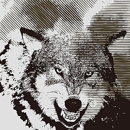 印花矢量圖 動物 狼 色彩 棕色 免費素材