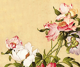 位圖 植物 花卉 優(yōu)雅植物 藝術(shù)效果 免費素材