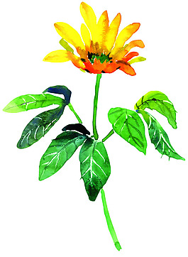 位圖 植物 花卉 優(yōu)雅植物 藝術(shù)效果 免費(fèi)素材