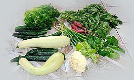 蔬菜圖片