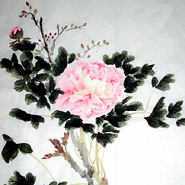 位圖 植物 花卉 優(yōu)雅植物 藝術(shù)效果 免費(fèi)素材