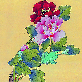 位圖 植物 花卉 優(yōu)雅植物 藝術(shù)效果 免費素材