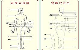 穴位圖圖片