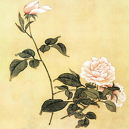 位圖 植物 花卉 優(yōu)雅植物 藝術(shù)效果 免費素材