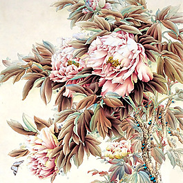 位圖 植物 花卉 優(yōu)雅植物 藝術(shù)效果 免費(fèi)素材