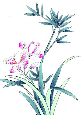 位圖 植物 花卉 優(yōu)雅植物 藝術效果 免費素材