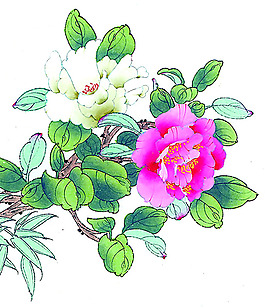 位圖 植物 花卉 優(yōu)雅植物 藝術(shù)效果 免費(fèi)素材