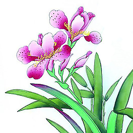 位圖 植物 花卉 優(yōu)雅植物 藝術效果 免費素材