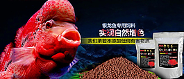 精灵鱼饲料海报宣传
