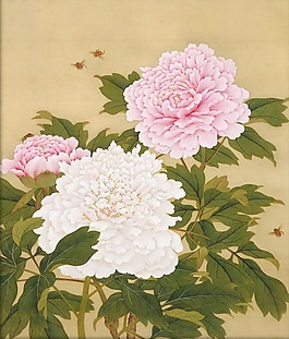 位圖 植物 花卉 優(yōu)雅植物 牡丹花 免費(fèi)素材