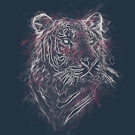 印花矢量圖 動物 老虎 色彩 紫色 免費素材