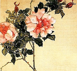 位圖 植物 花卉 優(yōu)雅植物 藝術(shù)效果 免費(fèi)素材