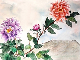 位圖 植物 花卉 優(yōu)雅植物 藝術(shù)效果 免費(fèi)素材