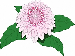 位圖 植物 花卉 優(yōu)雅植物 色彩 免費(fèi)素材