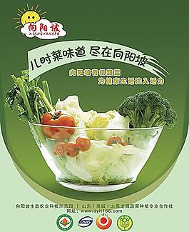 蔬菜圖片