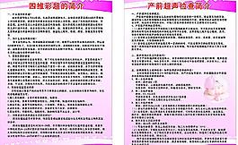 四维彩超 产前超声图片