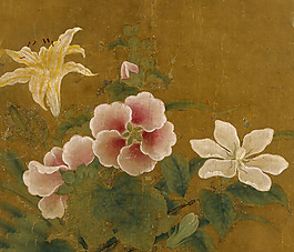 位圖 植物 花卉 優(yōu)雅植物 藝術(shù)效果 免費(fèi)素材