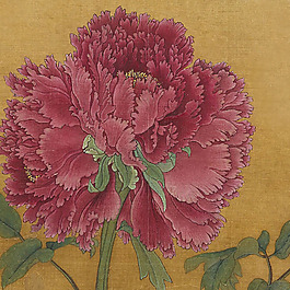 位圖 植物 花卉 優(yōu)雅植物 藝術(shù)效果 免費(fèi)素材