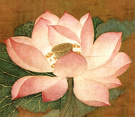 位圖 植物 花卉 優(yōu)雅植物 藝術(shù)效果 免費(fèi)素材
