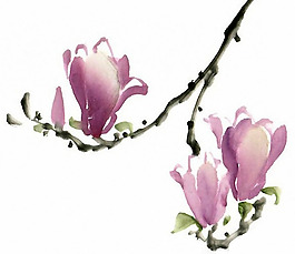 位圖 植物 花卉 優(yōu)雅植物 藝術(shù)效果 免費素材