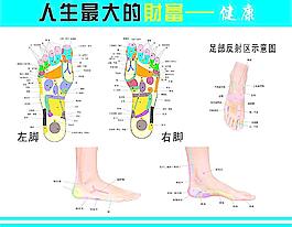 穴位圖圖片