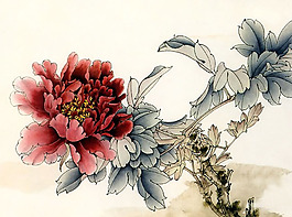 位圖 植物 花卉 優(yōu)雅植物 藝術(shù)效果 免費(fèi)素材
