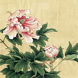 家紡 位圖 花卉 免費素材