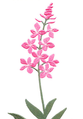 繡花 花卉 家紡 免費素材