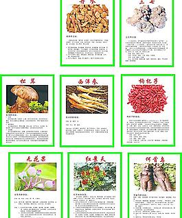 中草藥 功效圖片