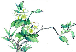 位圖 植物 花卉 優(yōu)雅植物 藝術(shù)效果 免費(fèi)素材