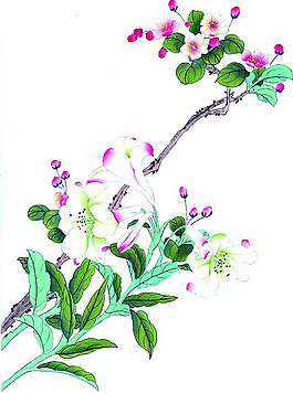 位圖 植物 花卉 優(yōu)雅植物 藝術(shù)效果 免費素材