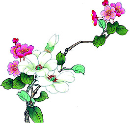 位圖 植物 花卉 優(yōu)雅植物 藝術(shù)效果 免費素材