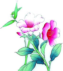 位圖 植物 花卉 優(yōu)雅植物 藝術(shù)效果 免費(fèi)素材