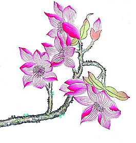 位圖 植物 花卉 優(yōu)雅植物 藝術(shù)效果 免費(fèi)素材