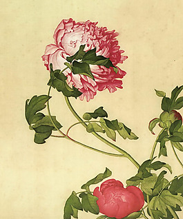 家紡 位圖 花卉 免費(fèi)素材