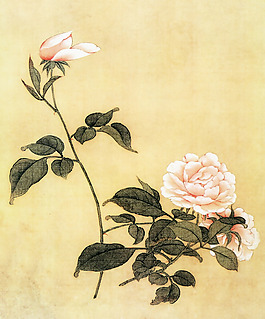 家紡 位圖 花卉 免費素材