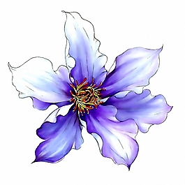 位圖 植物 優(yōu)雅植物 花卉 時尚休閑女裝 免費素材