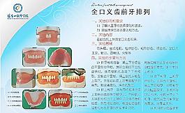 全口義齒前牙排列圖片