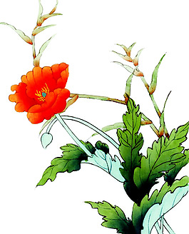 位圖 植物 優(yōu)雅植物 花卉 時尚休閑女裝 免費素材