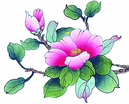 位圖 植物 優(yōu)雅植物 花卉 時尚休閑女裝 免費素材