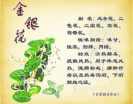 中藥圖片