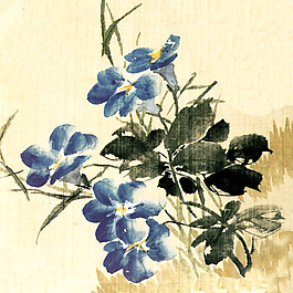 印花非矢量 植物 花卉 牽牛花 優(yōu)雅植物 免費素材