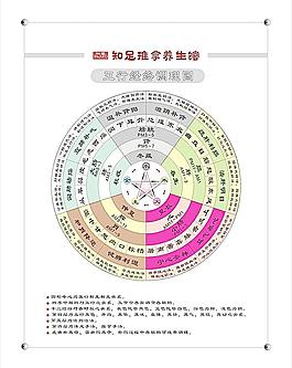 五行經絡調理圖圖片