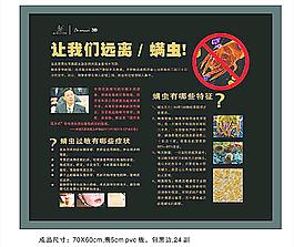 讓我們遠(yuǎn)離螨蟲(chóng)圖片